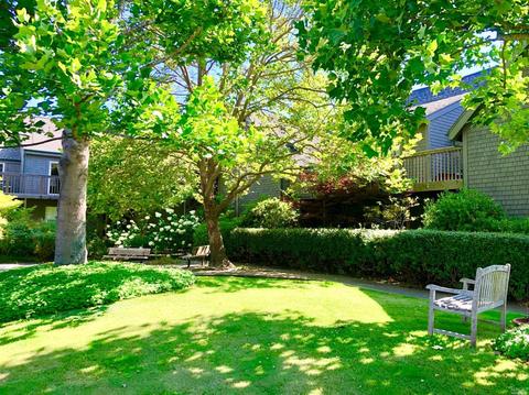 729 Miller Ave, Mill Valley, CA 94941 photo 16