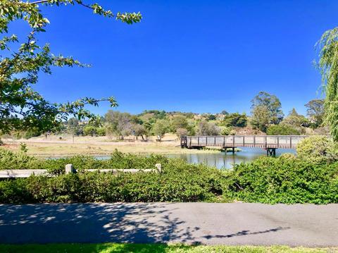 729 Miller Ave, Mill Valley, CA 94941 photo 13