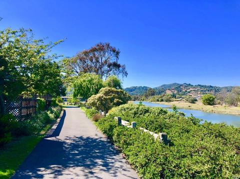 729 Miller Ave, Mill Valley, CA 94941 photo 14