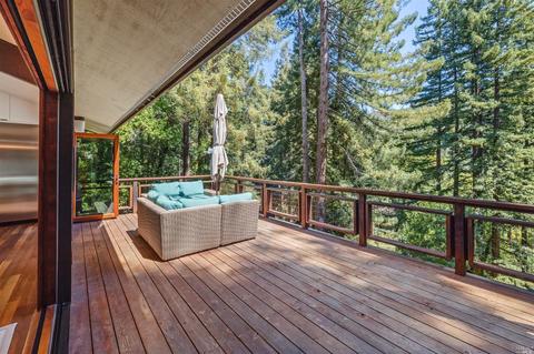48 Magee Ave, Mill Valley, CA 94941 photo 31