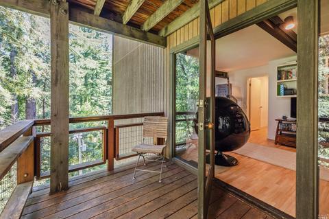 48 Magee Ave, Mill Valley, CA 94941 photo 18