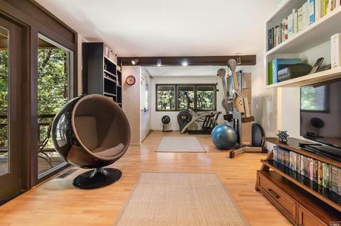 48 Magee Ave, Mill Valley, CA 94941 photo 17