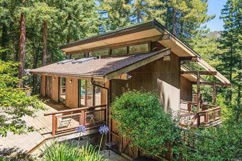 48 Magee Ave, Mill Valley, CA 94941 photo 32