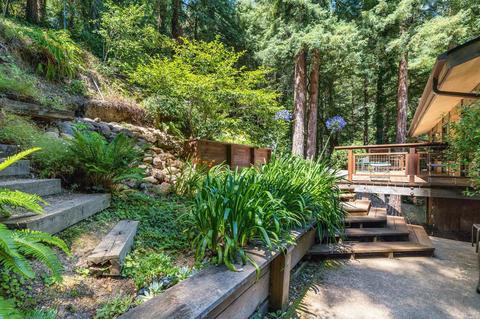 48 Magee Ave, Mill Valley, CA 94941 photo 35