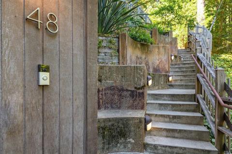 48 Magee Ave, Mill Valley, CA 94941 photo 23