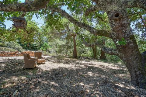 700 Jonive Rd, Sebastopol, CA 95472 photo 25
