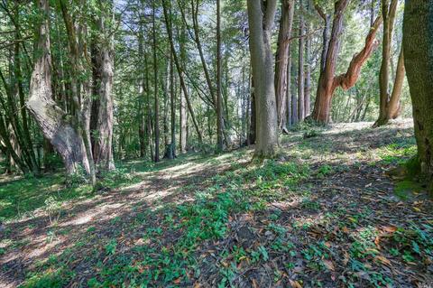 700 Jonive Rd, Sebastopol, CA 95472 photo 29