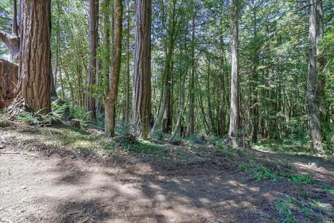 700 Jonive Rd, Sebastopol, CA 95472 photo 30