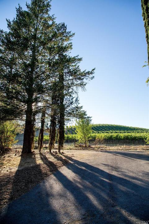 465 White Cottage Rd N, Angwin, CA 94508 photo 6