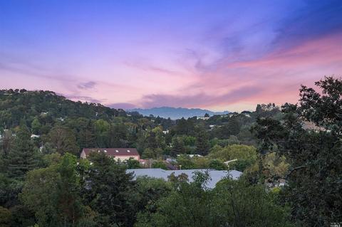 117 Hillside Ave, Kentfield, CA 94904 photo 48