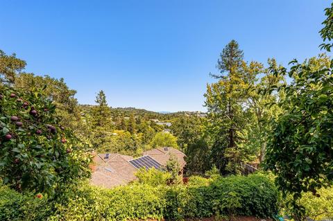 117 Hillside Ave, Kentfield, CA 94904 photo 42