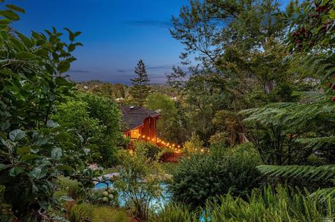 117 Hillside Ave, Kentfield, CA 94904 photo 49
