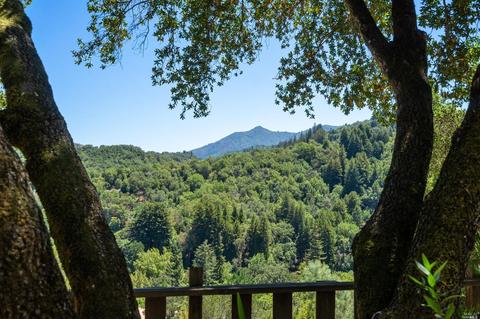 225 Laurel Dr, Fairfax, CA 94930 photo 7