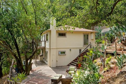 225 Laurel Dr, Fairfax, CA 94930 photo 28