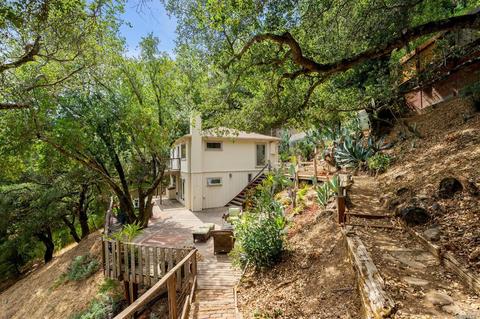 225 Laurel Dr, Fairfax, CA 94930 photo 30