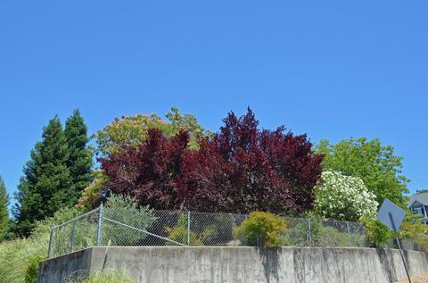 2420 Catalan Ct, Ukiah, CA 95482 photo 35