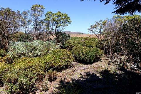 20872 Heron Dr, Bodega Bay, CA 94923 photo 30