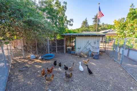 1223 3rd Ave, Napa, CA 94558 photo 41