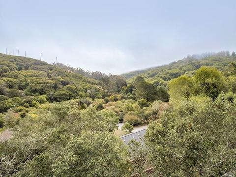 390 Carrera Dr, Mill Valley, CA 94941 photo 24