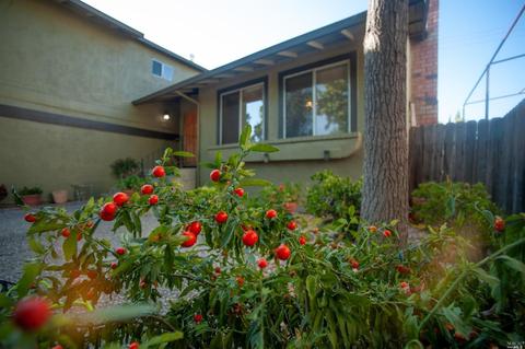 Undisclosed, Vacaville, CA 95687 photo 3