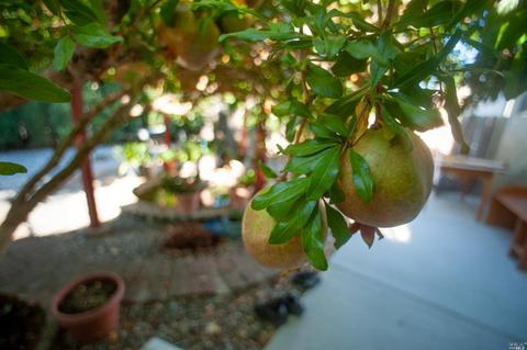 Undisclosed, Vacaville, CA 95687 photo 34