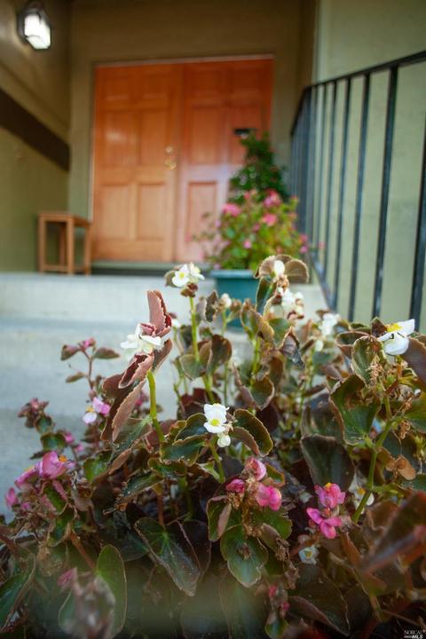 Undisclosed, Vacaville, CA 95687 photo 4