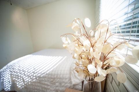 Undisclosed, Vacaville, CA 95687 photo 24
