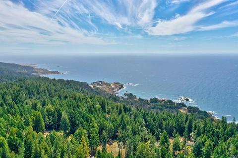 22141 Koftinow, Jenner, CA 95450 photo 17