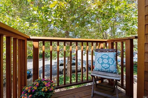 930 E Blithedale Ave, Mill Valley, CA 94941 photo 24