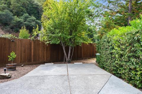 930 E Blithedale Ave, Mill Valley, CA 94941 photo 31