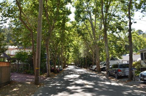 347 Cascade Dr, Fairfax, CA 94930 photo 29