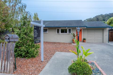 255 Flamingo Rd, Mill Valley, CA 94941 photo 28