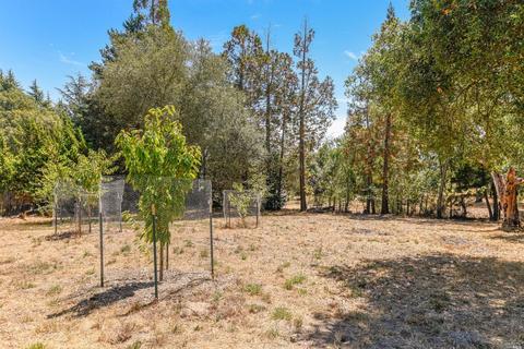 Undisclosed, Sebastopol, CA 95472 photo 48