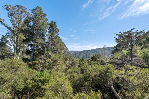 575 Summit Ave, Mill Valley, CA 94941 photo 6