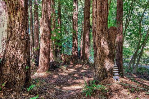 1680 Jonive Rd, Sebastopol, CA 95472 photo 42