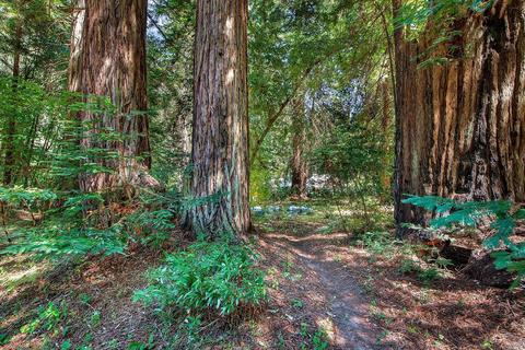 1680 Jonive Rd, Sebastopol, CA 95472 photo 37