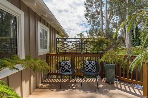 7 Robertson Ter, Mill Valley, CA 94941 photo 27