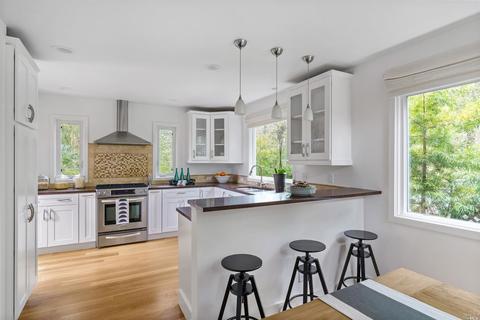 7 Robertson Ter, Mill Valley, CA 94941 photo 8