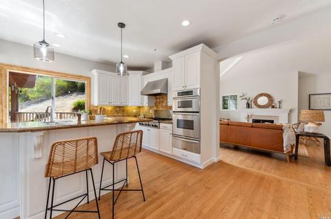 115 Thunderbird Ct, Novato, CA 94949 photo 21