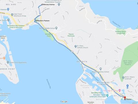 60 Mercury Ave, Tiburon, CA 94920 photo 36