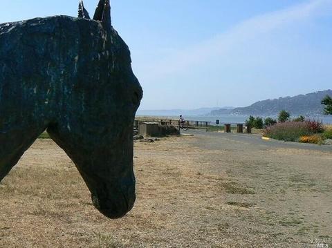 60 Mercury Ave, Tiburon, CA 94920 photo 34