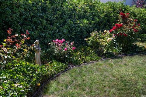 60 Mercury Ave, Tiburon, CA 94920 photo 23