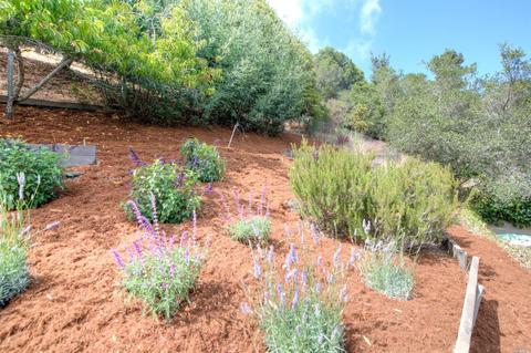 105 Circle Ave, Mill Valley, CA 94941 photo 18