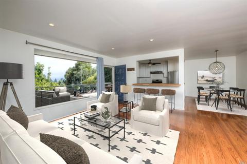 105 Circle Ave, Mill Valley, CA 94941 photo 4