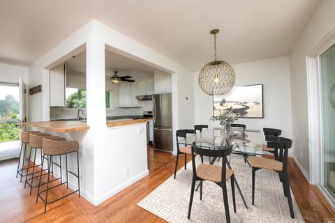 105 Circle Ave, Mill Valley, CA 94941 photo 5