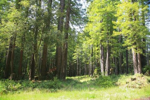 22164 Ruoff Rd, Timber Cove, CA 95450 photo 2