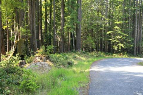 22164 Ruoff Rd, Timber Cove, CA 95450 photo 3