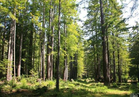 22164 Ruoff Rd, Timber Cove, CA 95450 photo 1