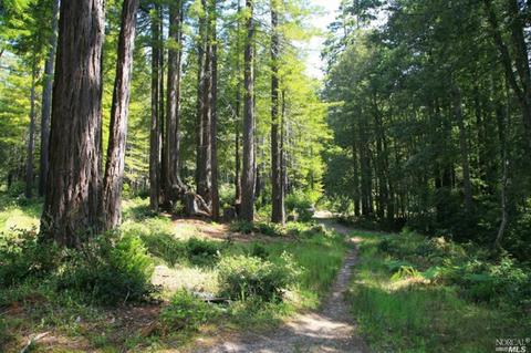 22164 Ruoff Rd, Timber Cove, CA 95450 photo 4