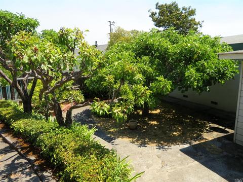 19 Nancy Dr, Novato, CA 94947 photo 32